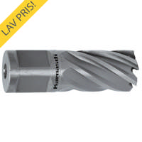 Karnasch Kernebor 12x25 19mm Weldon Skaft HSSXE SilverLine