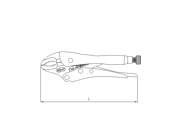 SNF_5FBD9C9A4F243ECAC5D5BDF158A913