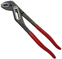 Bato Polygriptang 10